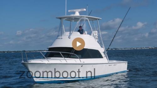 Bertram 35 Flybridge beoordelingen en specificaties